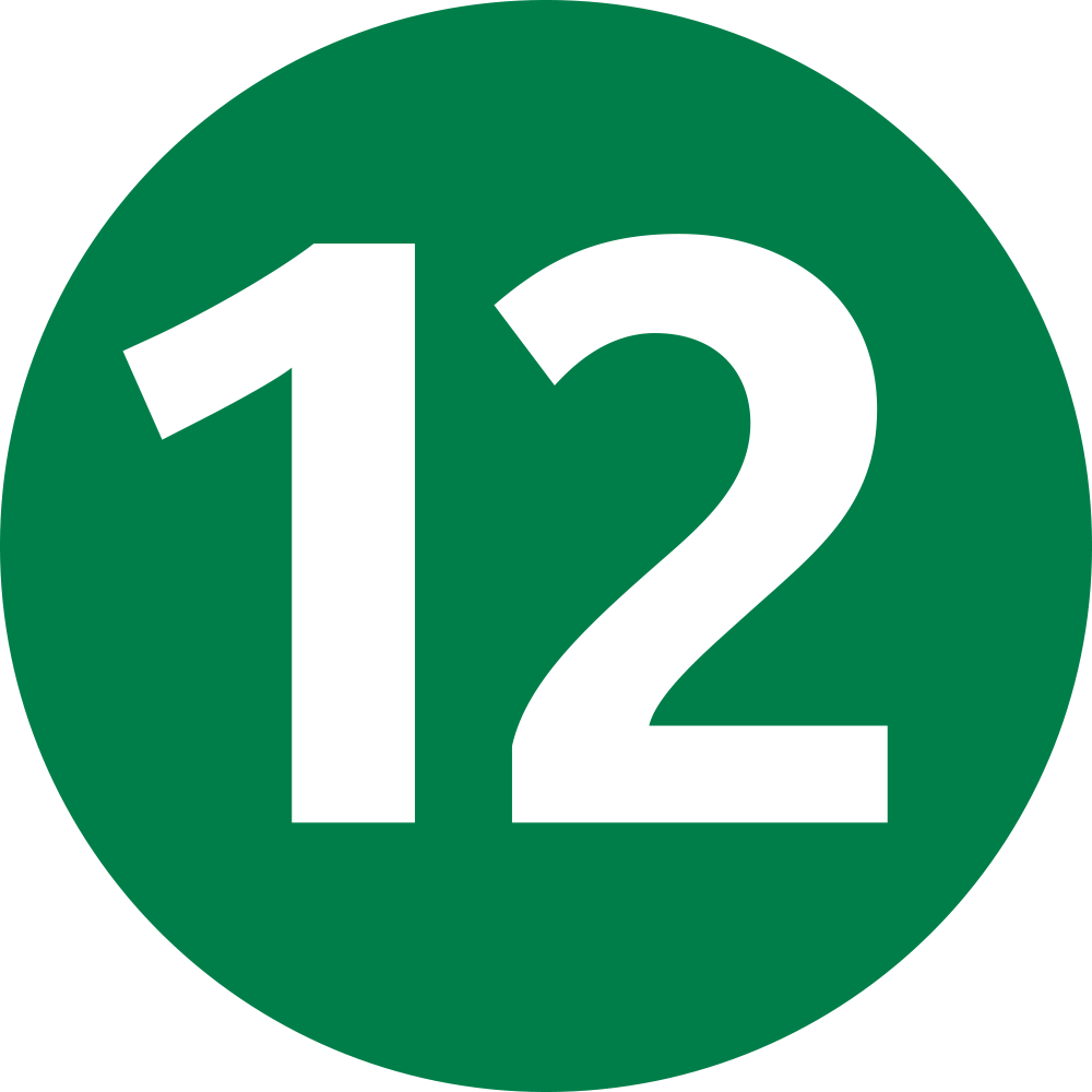 ligne-12-icon