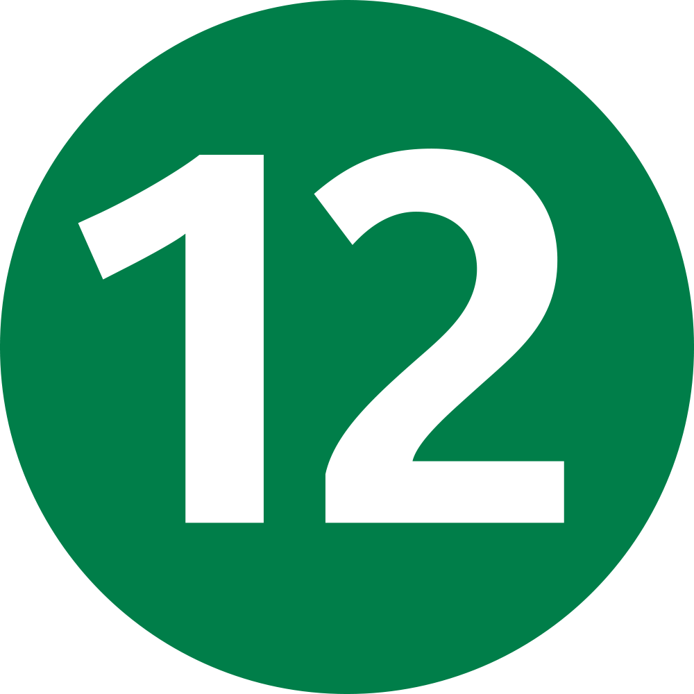 ligne-12-icon
