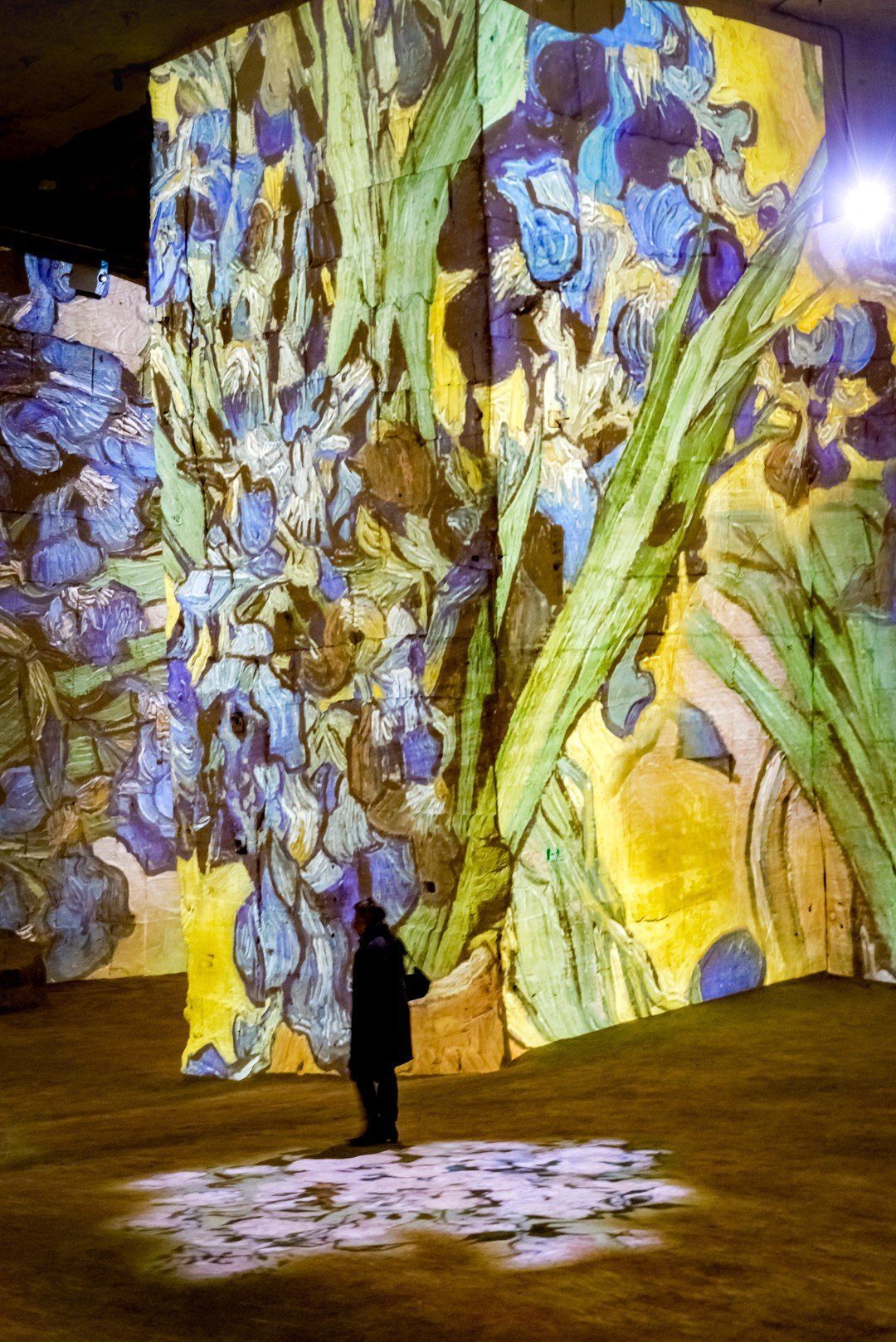 carrières de lumières van gogh
