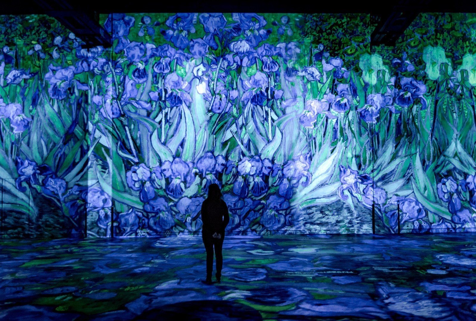 Van Gogh Atelier des Lumieres Modulo Pi
