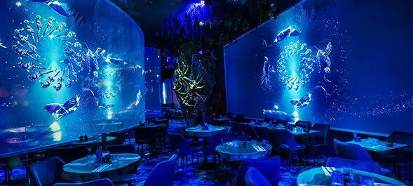 Immersive dining